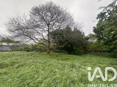 /international/fr/saint-julien-des-landes-pays-de-la-loire-310107555329/