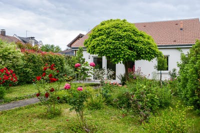 /international/fr/riedisheim-alsace-310106382120/