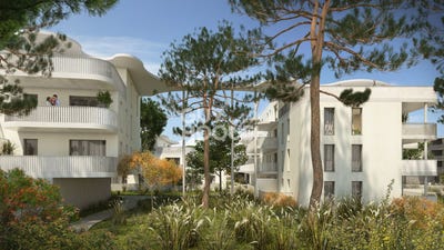 /international/fr/narbonne-languedoc-roussillon-310107581639/