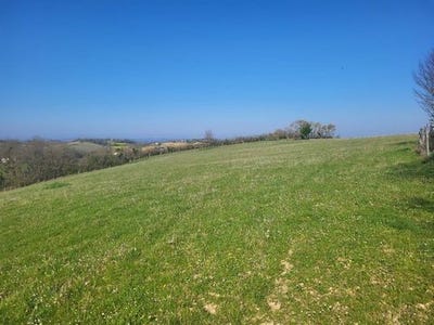 /international/fr/samatan-midi-pyrenees-310106597993/