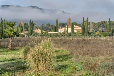 /international/fr/le-luc-provence-alpes-cote-d-azur-310107738912/