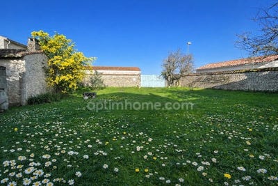 /international/fr/sainte-marie-de-re-charente-310108377166/