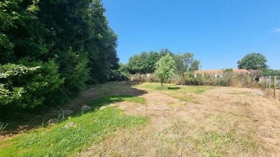 /international/fr/martinet-pays-de-la-loire-310100281309/