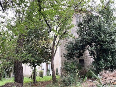 /international/fr/fontenay-le-comte-pays-de-la-loire-310095683519/