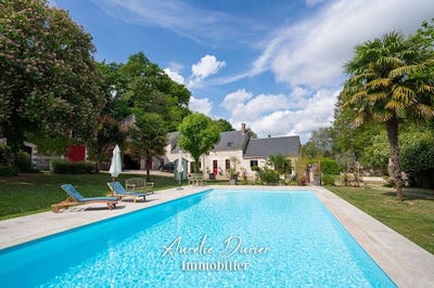 /international/fr/amboise-centre-val-de-loire-310105909128/