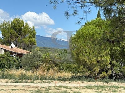 /international/fr/carpentras-provence-alpes-cote-d-azur-310101471385/
