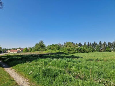 /international/fr/route-de-compiegne-bazicourt-picardie-310106612006/