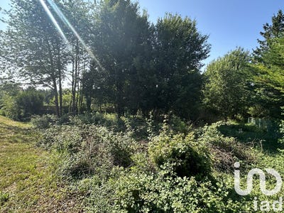 /international/fr/courtenay-centre-val-de-loire-310098578070/