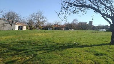 /international/fr/chanteloup-charente-310106054139/