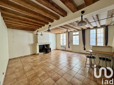 /international/fr/chouze-sur-loire-centre-val-de-loire-310097947268/
