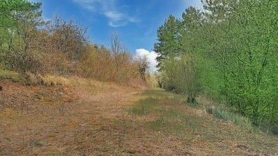 /international/fr/marey-sur-tille-burgundy-310106222498/