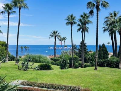 /international/fr/vallauris-provence-alpes-cote-d-azur-310108527233/