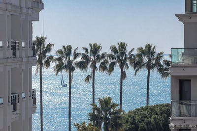 /international/fr/cannes-provence-alpes-cote-d-azur-310101110996/?lang=en