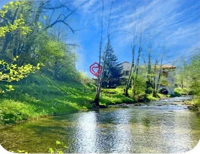 /international/fr/arbas-midi-pyrenees-310108839373/
