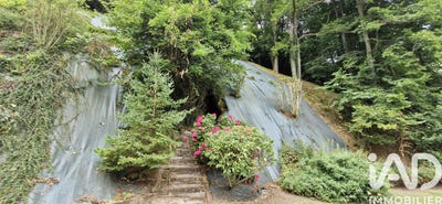 /international/fr/arbeost-midi-pyrenees-310105187363/