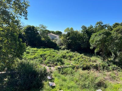 /international/fr/saint-georges-d-orques-languedoc-roussillon-310109239766/