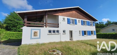 /international/fr/saint-pierre-du-mont-burgundy-310107903958/