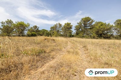 /international/fr/malves-en-minervois-languedoc-roussillon-310103175756/