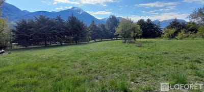 /international/fr/chateauroux-les-alpes-provence-alpes-cote-d-azur-310106381478/