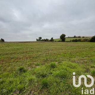 /international/fr/messon-ardennes-310103024931/