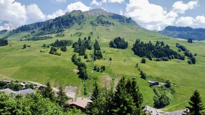 /international/fr/le-grand-bornand-hh-15858834-le-grand-bornand-rhone-310101205397/?lang=en