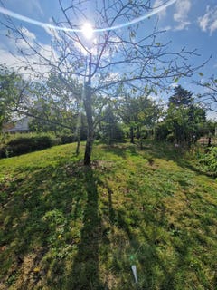 /international/fr/reze-pays-de-la-loire-310101044929/