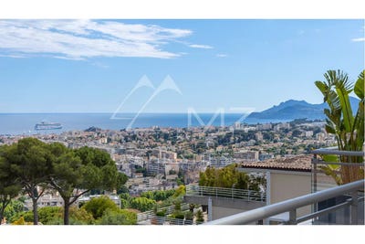 /international/fr/le-cannet-provence-alpes-cote-d-azur-310100989901/