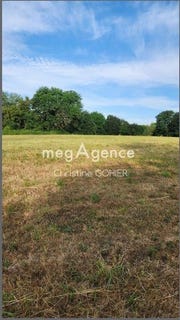 /international/fr/ecoyeux-charente-310108459315/