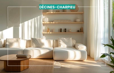 /international/fr/decines-charpieu-rhone-310101485140/
