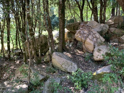 /international/fr/porto-vecchio-corsica-310101514513/