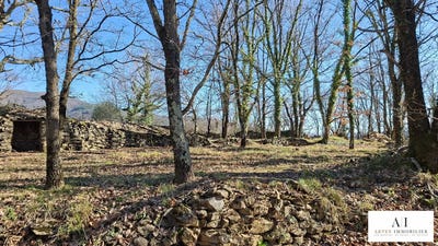/international/fr/coux-rhone-310103044843/