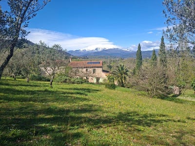 /international/fr/ceret-languedoc-roussillon-310108465186/