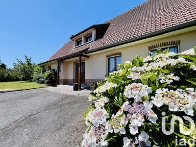 /international/fr/champien-burgundy-310100599973/