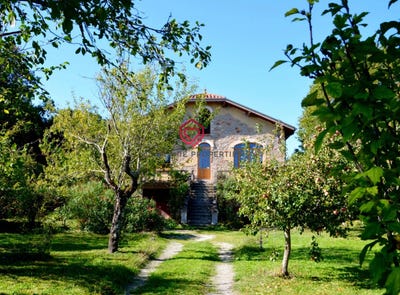 /international/fr/revel-midi-pyrenees-310103588463/