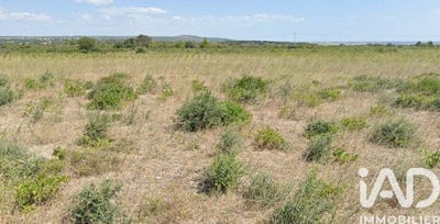 /international/fr/la-palme-languedoc-roussillon-310104145929/