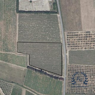 /international/fr/congenies-languedoc-roussillon-310101105519/