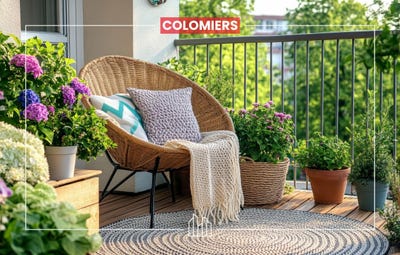 /international/fr/colomiers-midi-pyrenees-310101412728/?lang=en