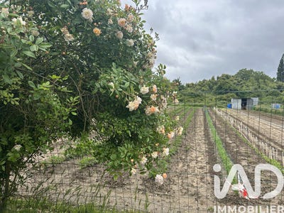 /international/fr/baule-centre-val-de-loire-310108213307/