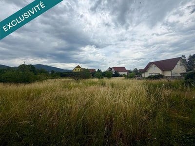 /international/fr/scherwiller-alsace-310108675355/