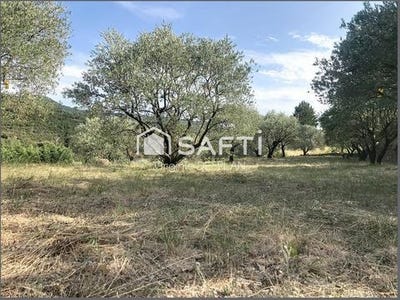 /international/fr/poujols-languedoc-roussillon-310101487489/?lang=en