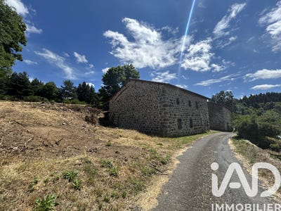 /international/fr/vielprat-auvergne-310108671133/