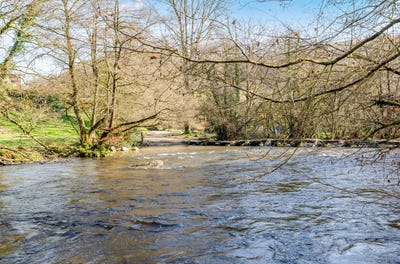 /international/gb/somerset-england-310106772773/