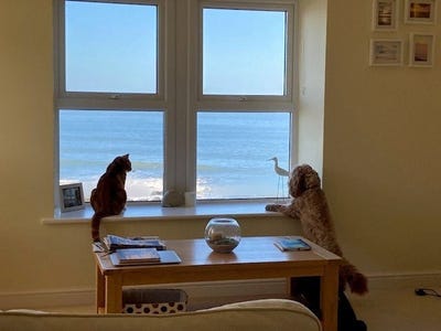 /international/gb/woolacombe-england-310110429028/