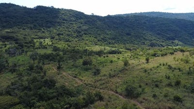 /international/gh/akosombo-accra-greater-accra-region-310108839740/