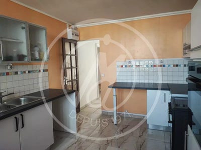 /international/gp/les-abymes-pointe-a-pitre-310107367411/
