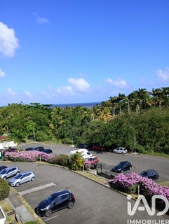 /international/gp/baie-mahault-basse-terre-310108668843/