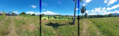 /international/gp/petit-bourg-basse-terre-310108328616/