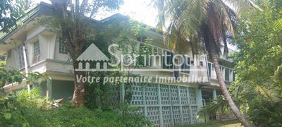 /international/gp/les-abymes-pointe-a-pitre-310102850356/