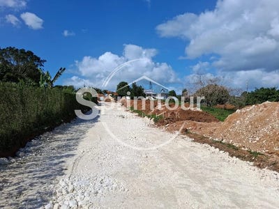 /international/gp/baie-mahault-basse-terre-310105191280/
