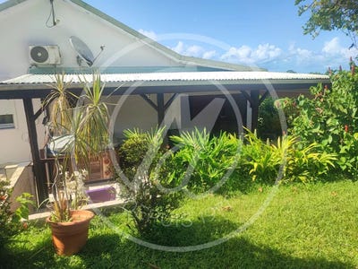 /international/gp/goyave-guadeloupe-310101884952/